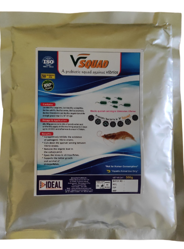 Vsquad1